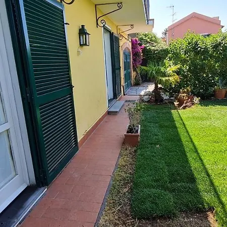 Yellowhousebonassola